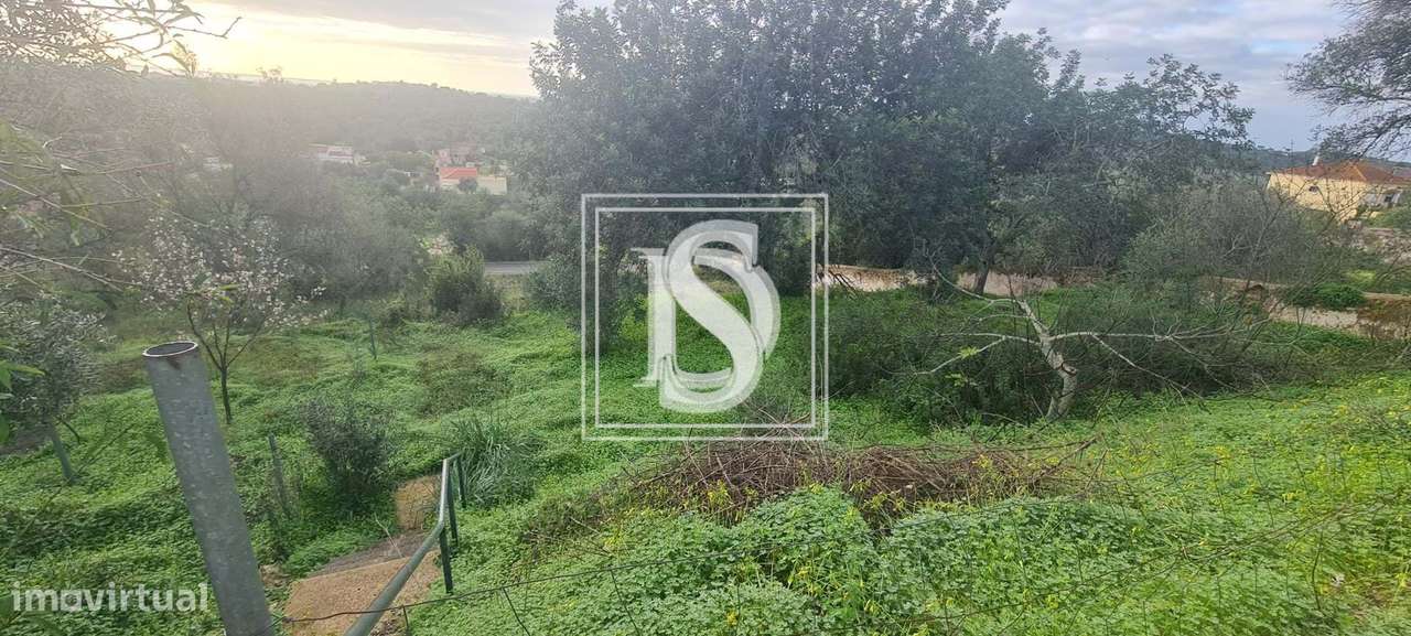 Terreno urbano em São Bartolomeu de Messines - Grande imagem: 3/11