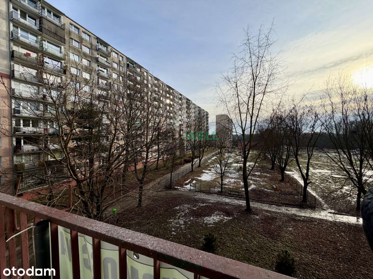 Rozkładowe M3 - łódź, Teofilów - Pełny obrazek: 3/14