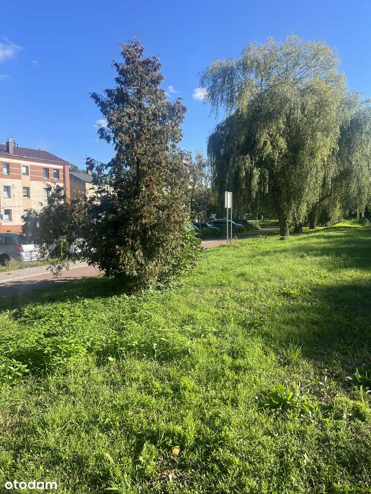 Czeladź nieduża kamienica naprzeciwko parku 150 m od UM-1