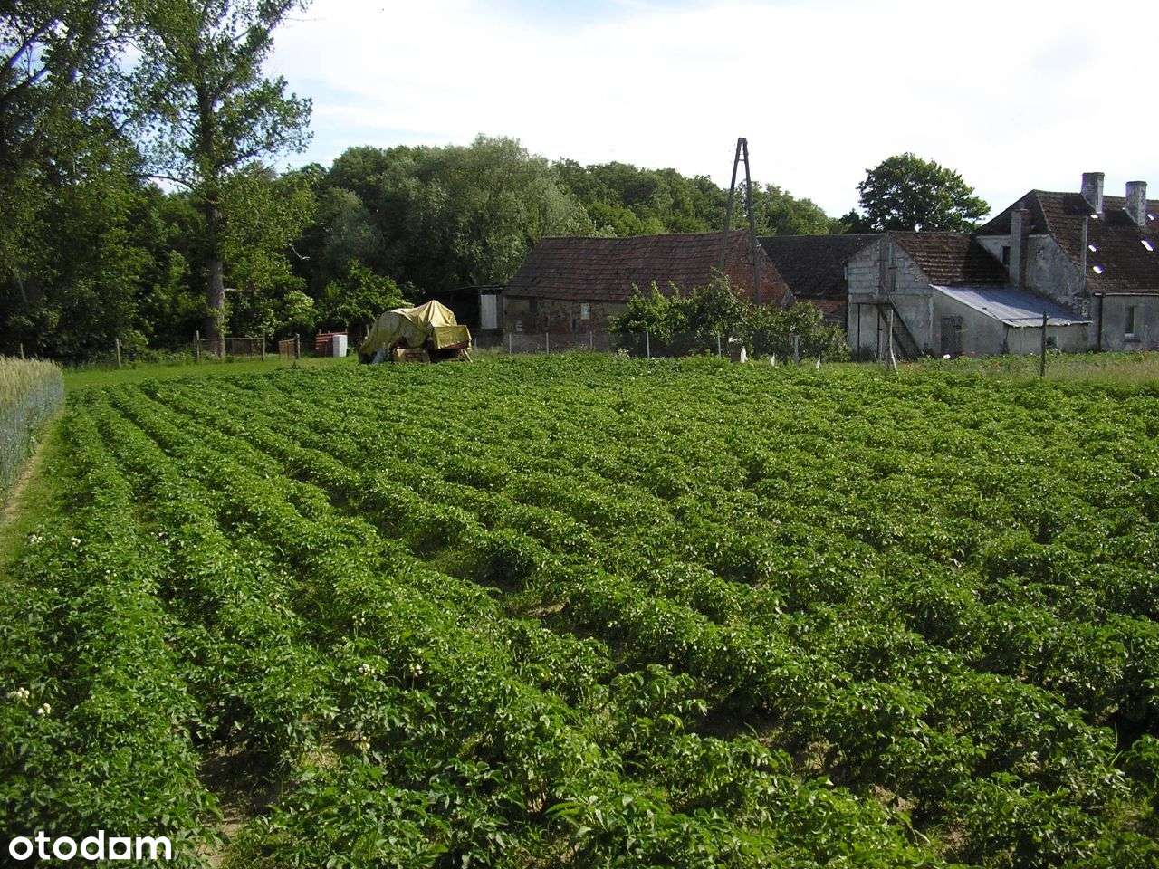 Małe działki budowlane w centrum wyspy, na górce - Pełny obrazek: 4/13