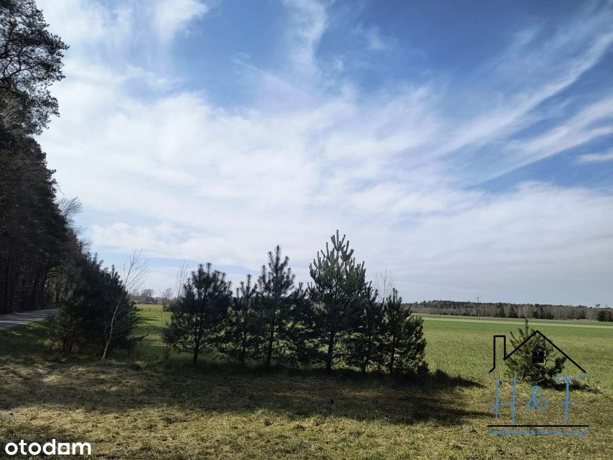 Duża działka obok lasu - Pełny obrazek: 4/12