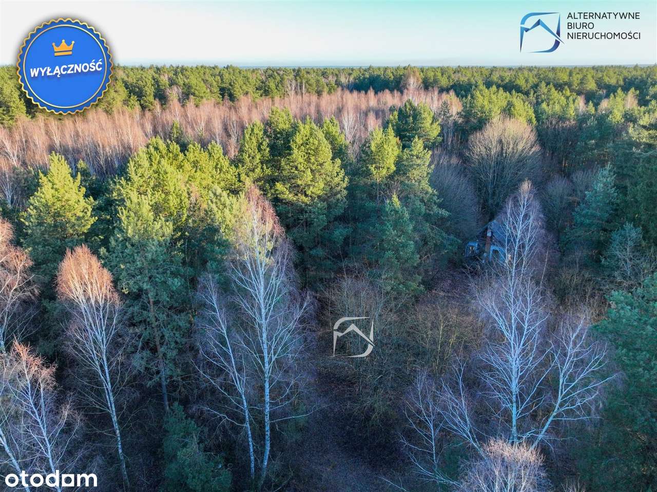 Atrakcyjna działka budowlana w środku lasu - Pełny obrazek: 4/20