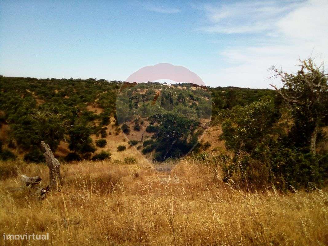 Terreno  para venda - Grande imagem: 4/11