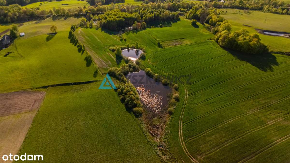 Duża działka w Grabowskiej Hucie na sprzedaż - Pełny obrazek: 5/20