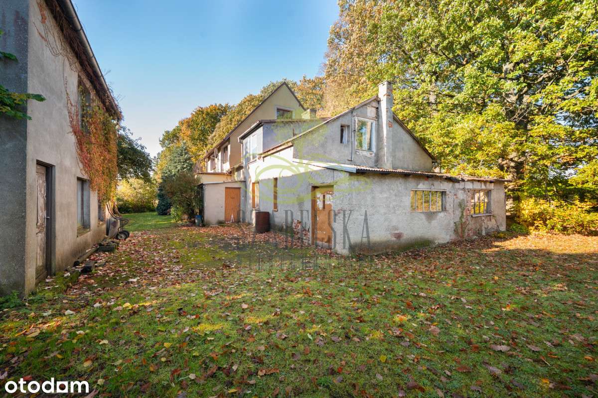 Idealne pod mieszkanie oraz działalność !!!-18