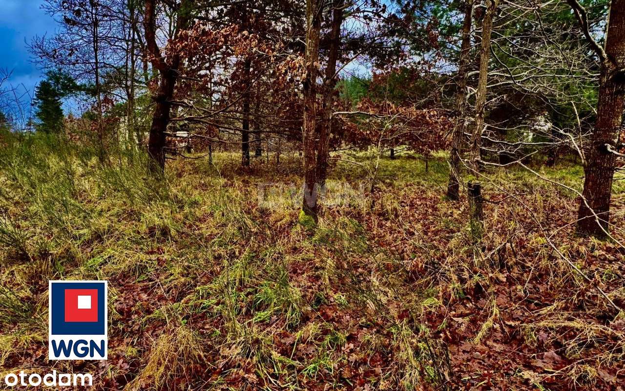 Działka budowlana nad rzeką, Dębnica Kaszubska, ul. Ks. Antoniego Kani - Pełny obrazek: 4/20