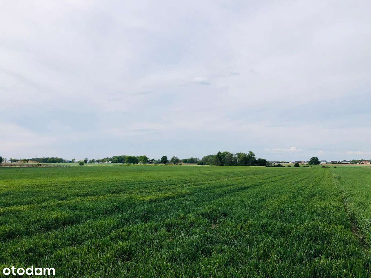 Malowniczy teren rolny  2,24 ha w pobliżu Wrocławia-6