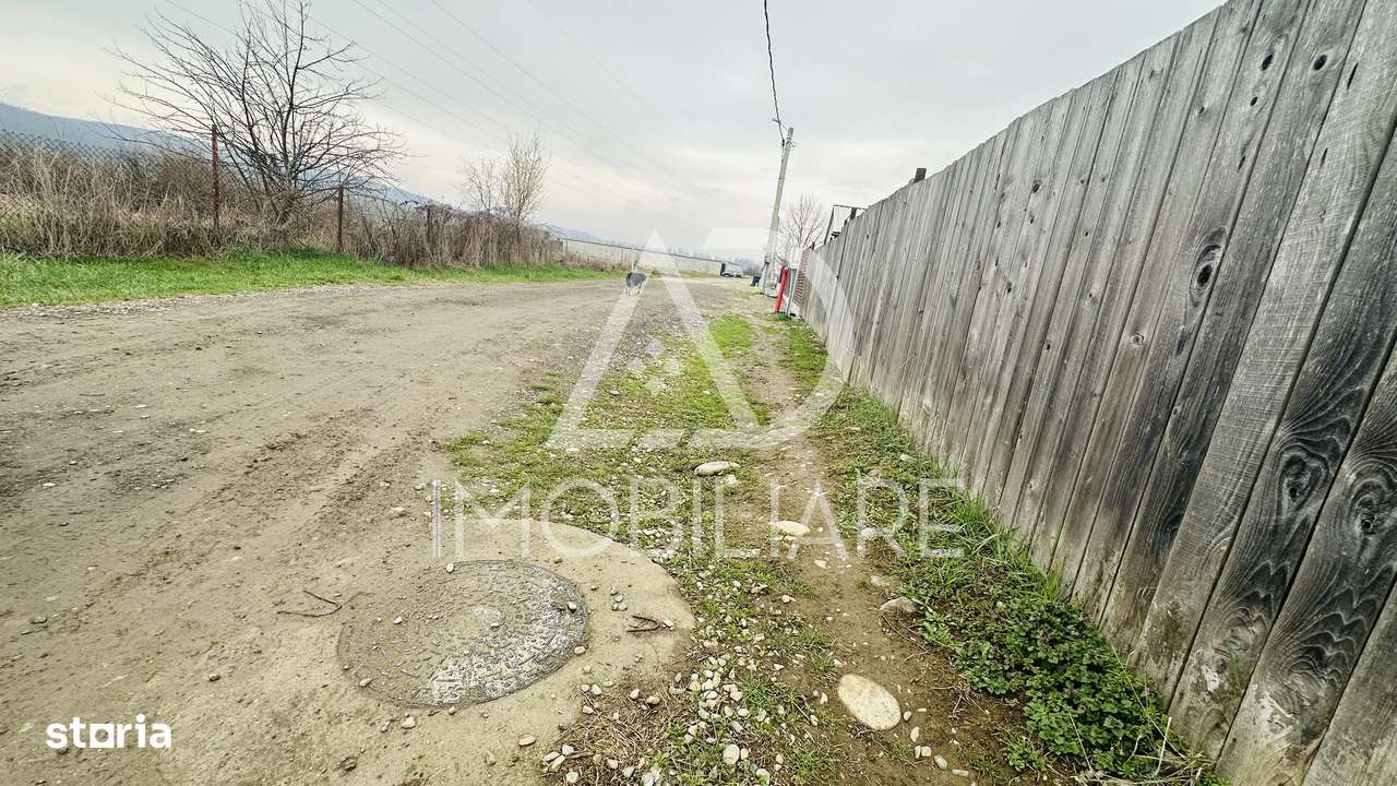Teren de vânzare – 1000 mp, Dumbrava, Strada Ionel Teodoreanu - Imagine principală: 4/8