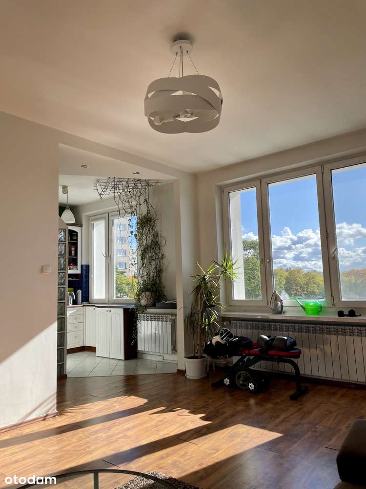 Wierzbno | 46,5 m² | Widok na zieleń | Funkcjonalny układ - Pełny obrazek: 2/10