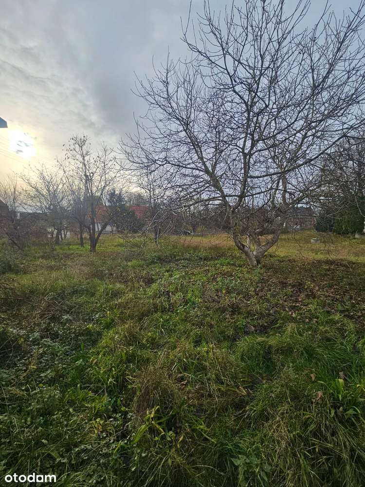 Dom 200m2 na wielkiej działce-świetna lokalizacja,jeszcze lepsza cena!-13