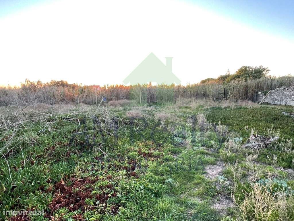 TERRENO RÚSTICO | PENICHE - Grande imagem: 4/8