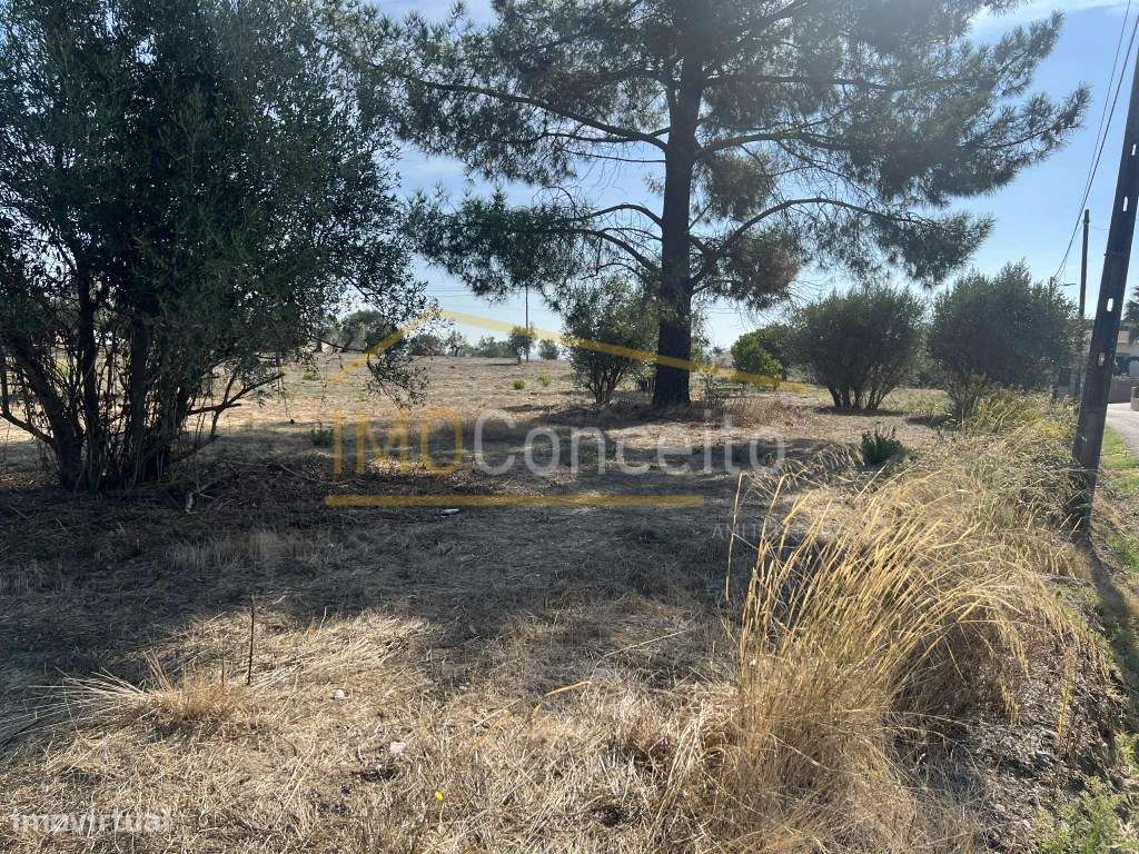 Terreno |com viabilidade de Construção| Asseiceira - Grande imagem: 5/17