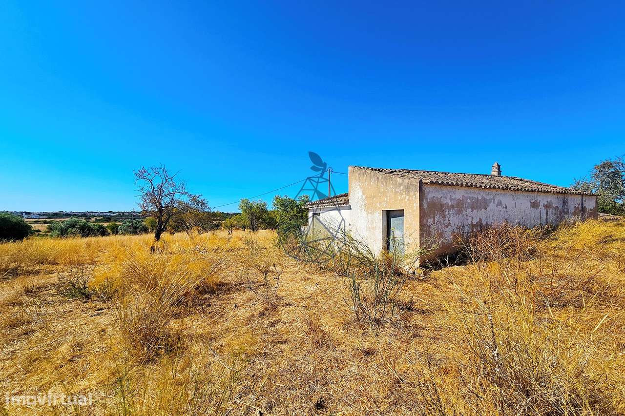 Terreno com Ruína e Projeto Aprovado | Bemparece, Lagoa-15