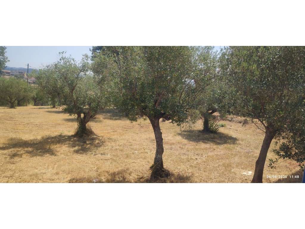 Terreno urbano, com localização de excelência, a poucos minutos da ... - Grande imagem: 4/13