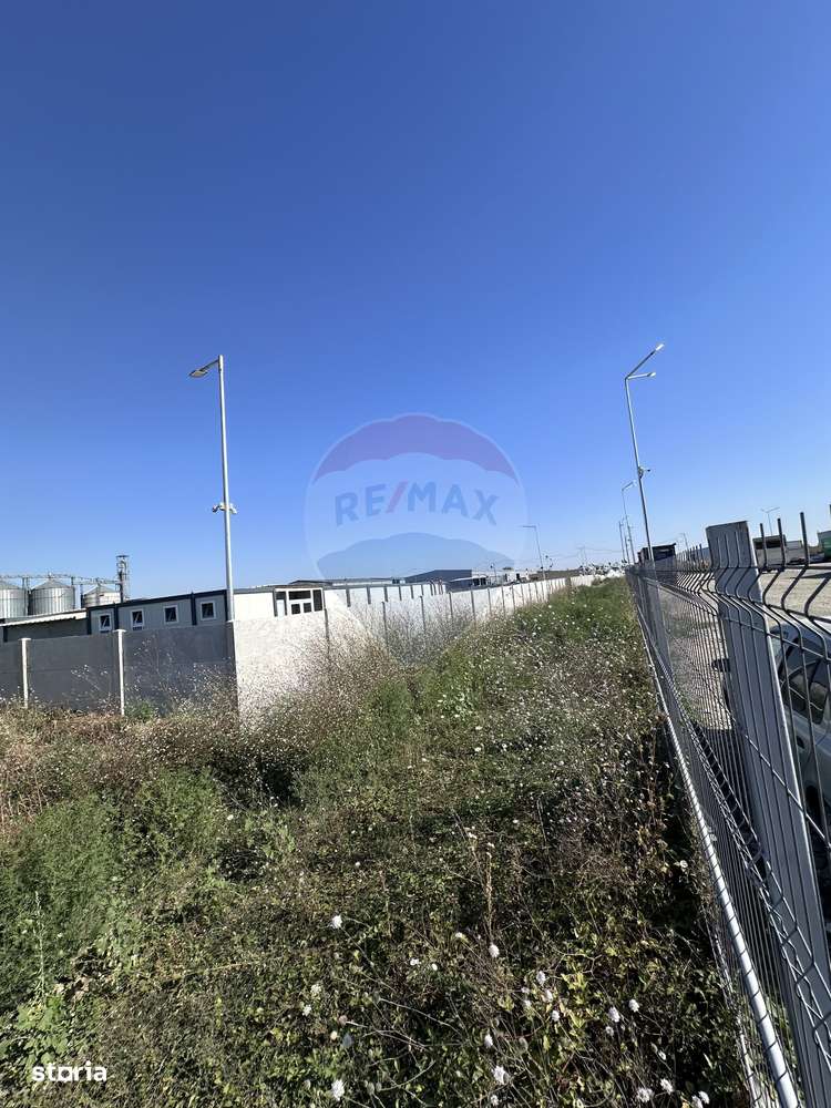 Vânzare Teren Industrial – Ștefăneștii de Jos (22.800 mp) - Imagine principală: 4/6