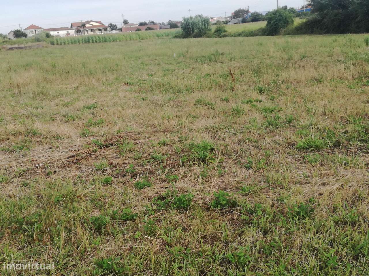 Terreno na Quinta do Picado/ Aradas - Grande imagem: 5/7