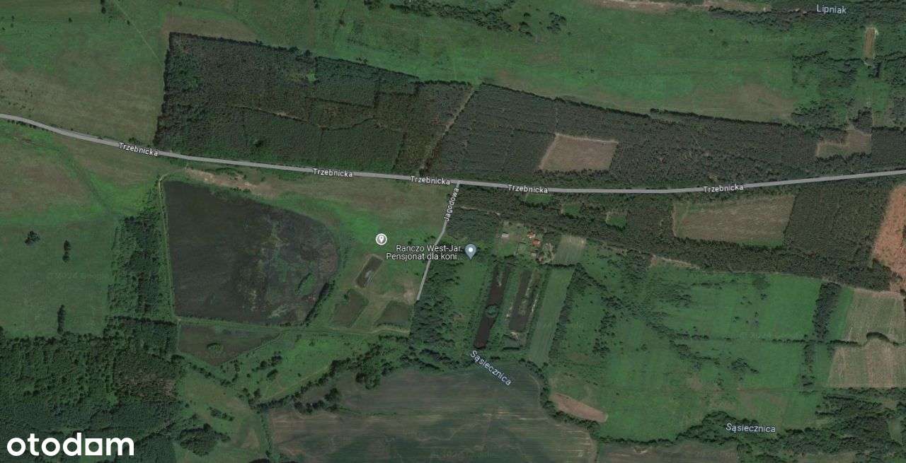 Piękna działka ze stawem - Pełny obrazek: 4/5