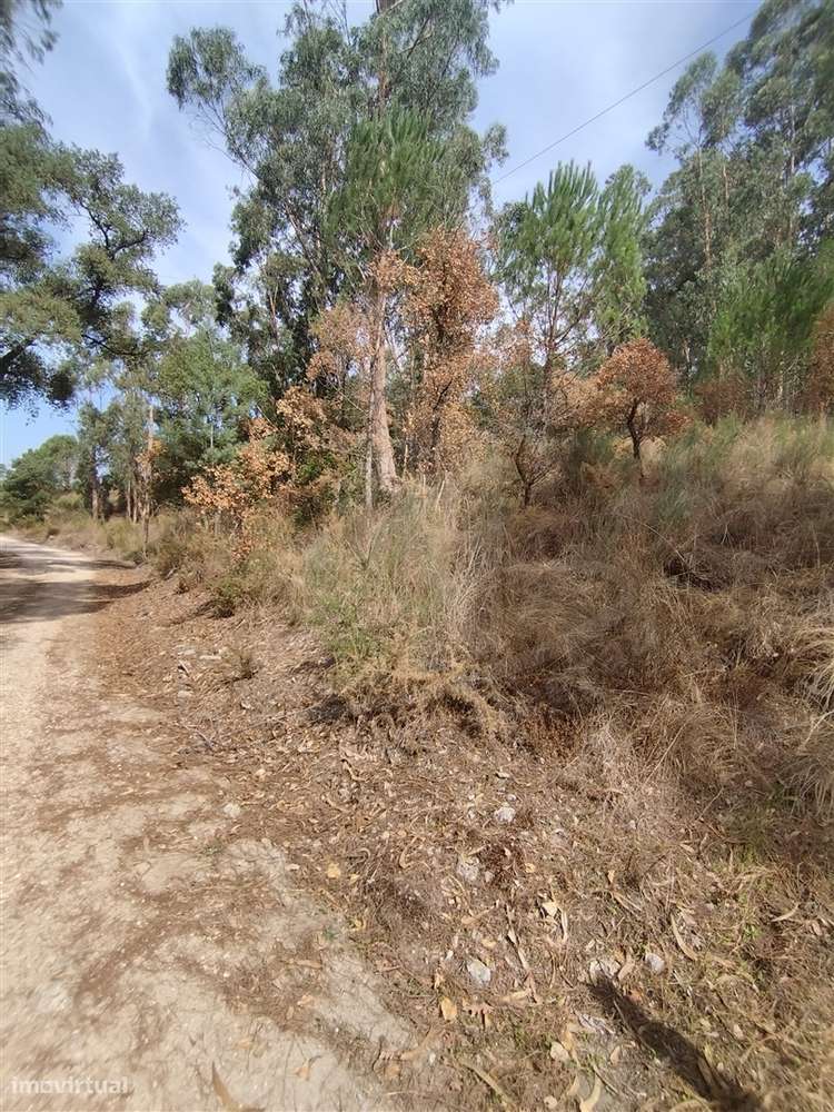 Terreno  Venda em Crespos e Pousada,Braga - Grande imagem: 4/7