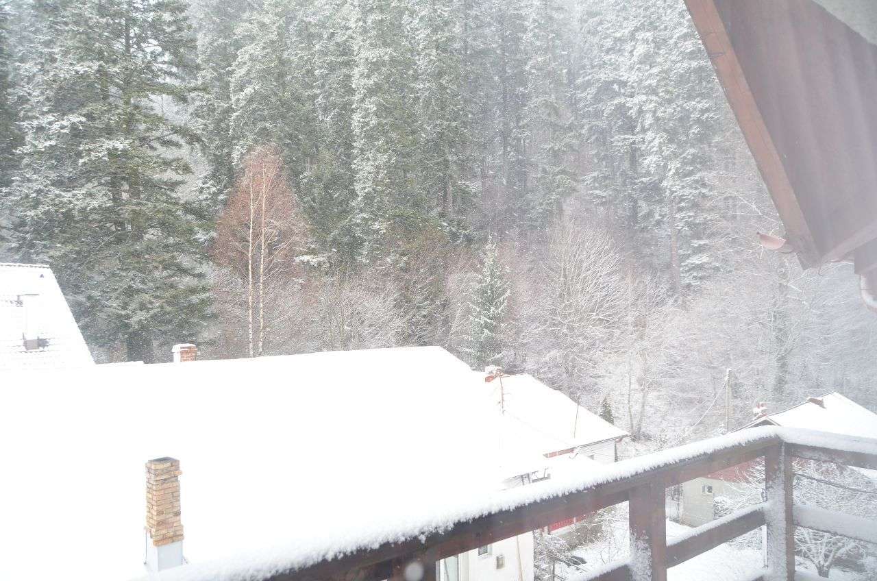 Apartament de 100mp cu terasă și parcare ,în Busteni - Imagine principală: 2/11