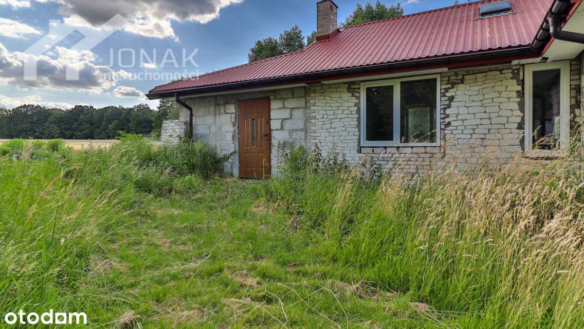 Dom wśród natury we wsi Krobonosz - Pełny obrazek: 3/20