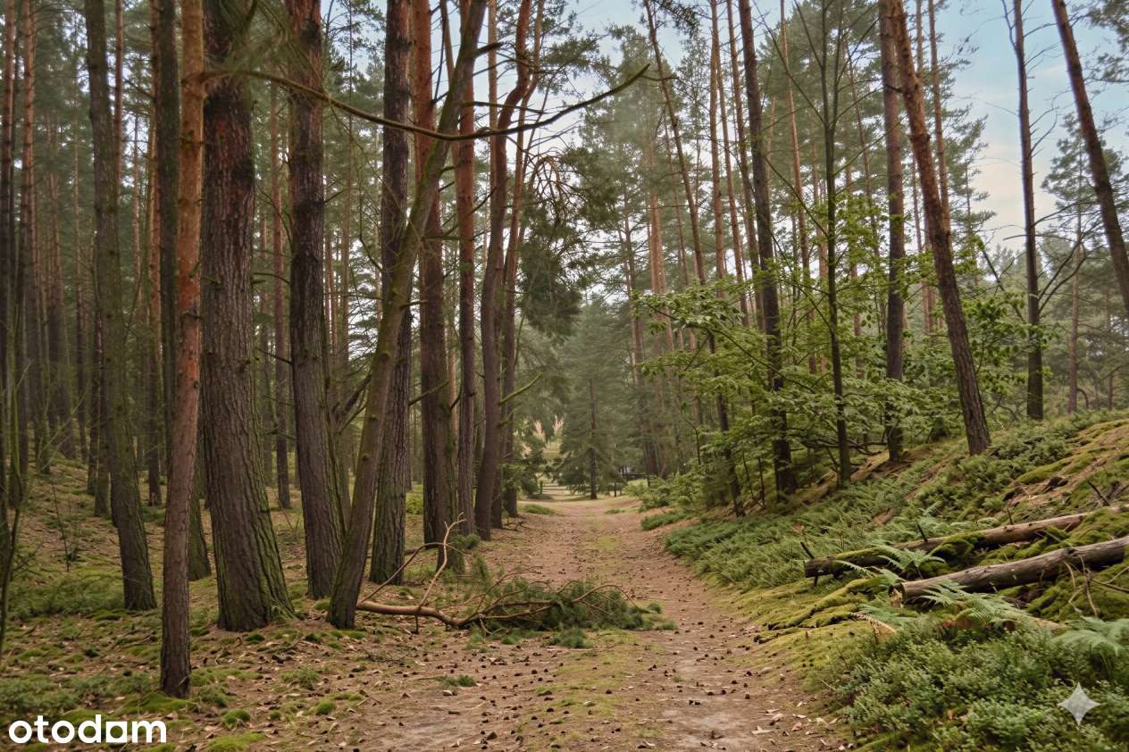 Budowlane przy lesie i rzece Grabia. Twoja sprawdzona inwestycja RATY-1