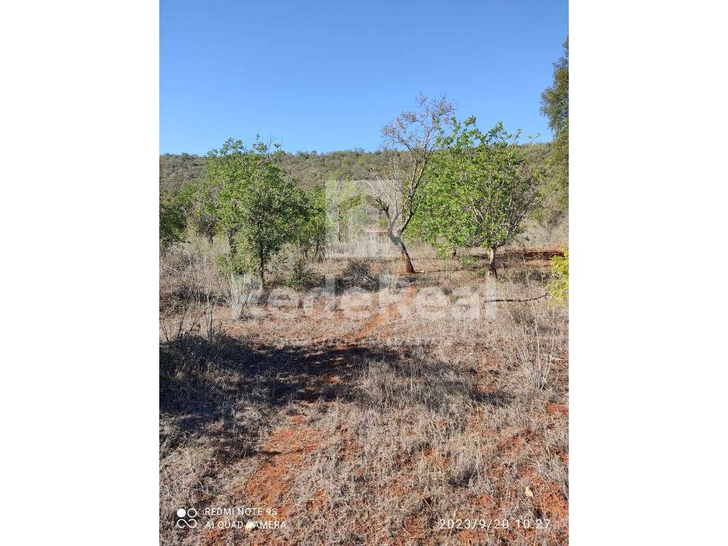 Terreno rustico com a área de 12.400 m2 situado na Nave dos Cordeiros - Grande imagem: 5/9