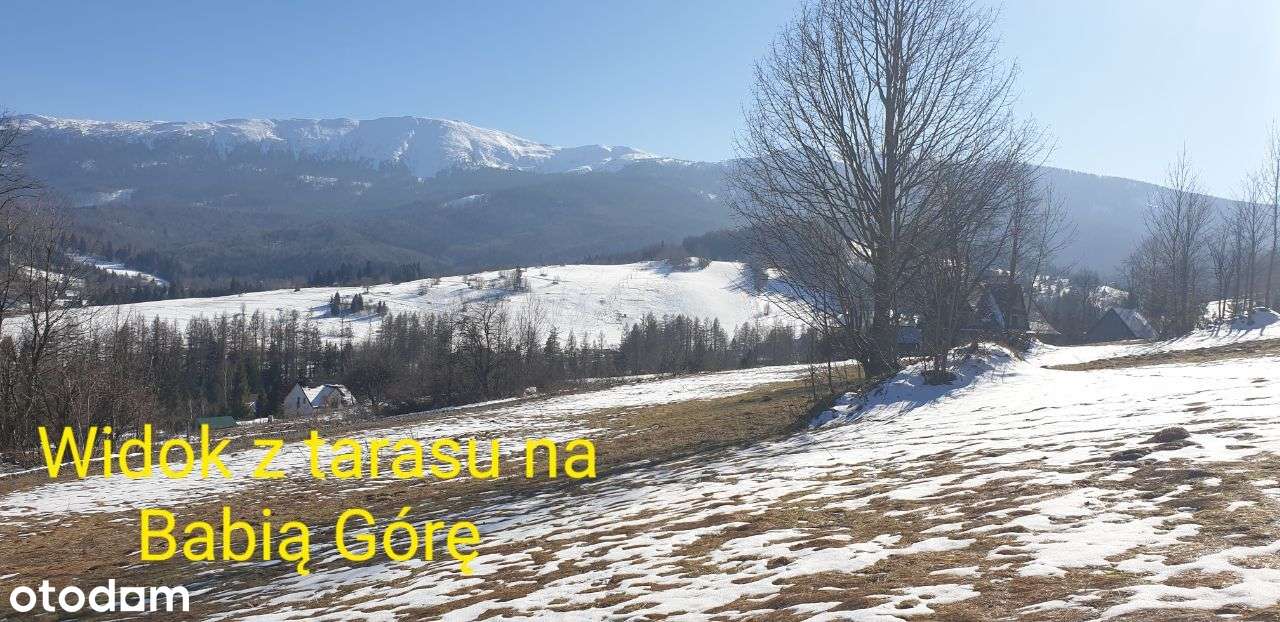 Inwestycja osiedle 8 domów z bali z działką Zawoja-6