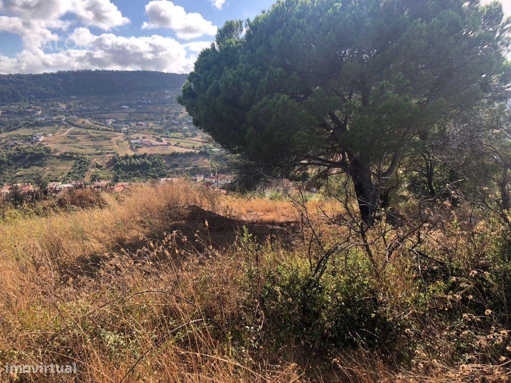 Terreno Misto para Loteamento em À-dos-Loucos, Alhandra-7