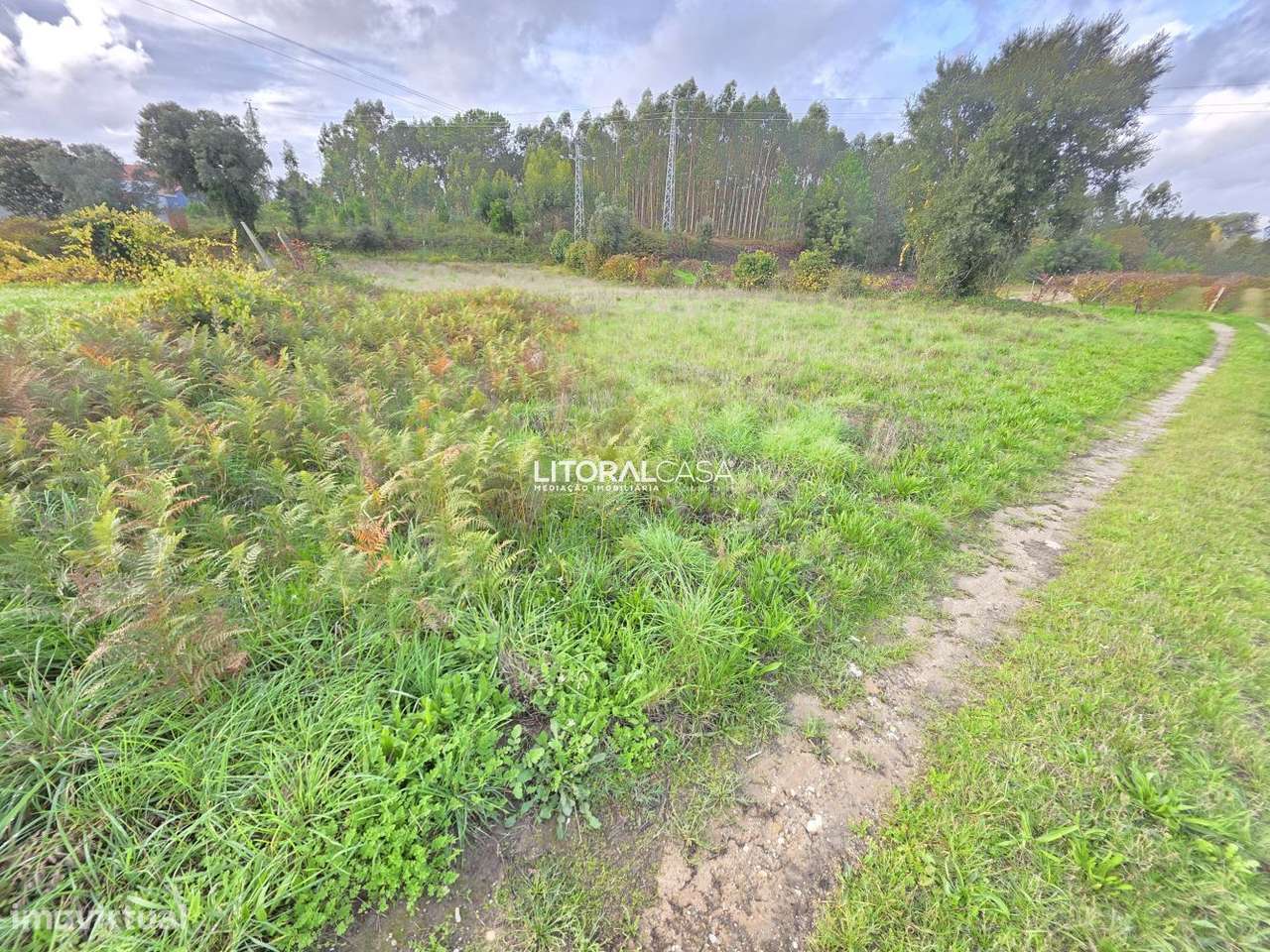 Terreno Agrícola - Eixo - Grande imagem: 3/14