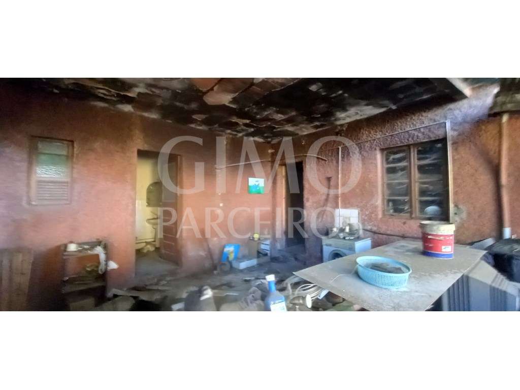 Moradia T3 para Remodelação ou Construção em Oiã - Grande imagem: 4/11