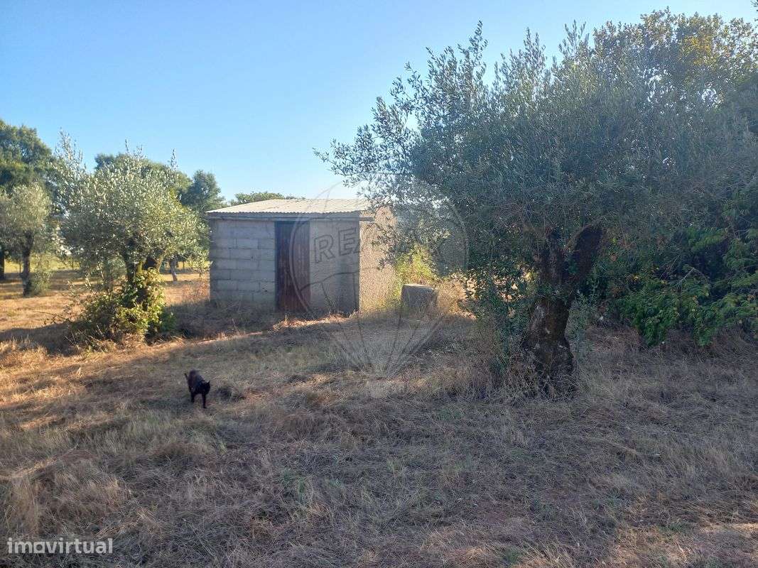 Terreno  para venda - Grande imagem: 4/9