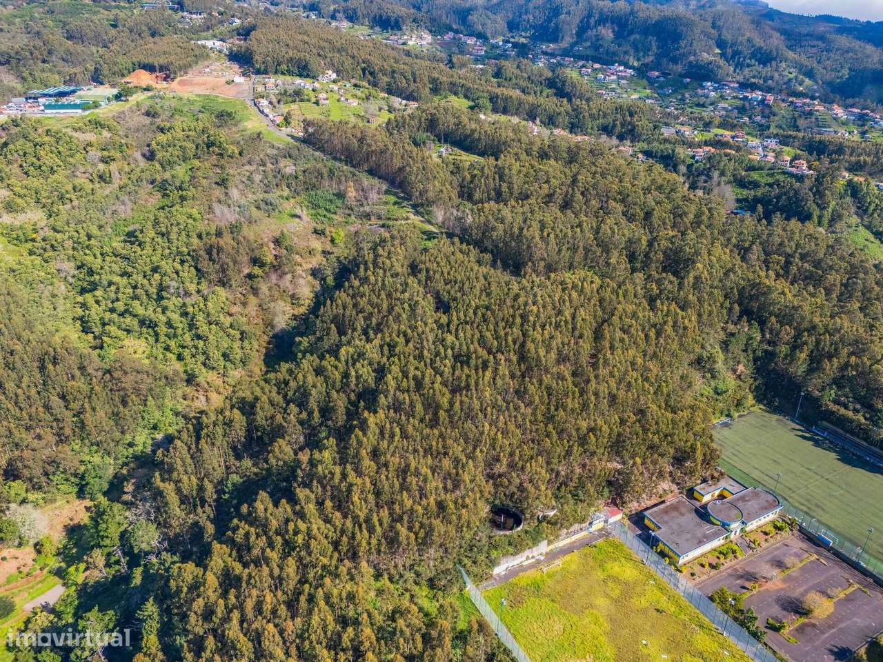 Terreno na Camacha de 24.430m2 - Grande imagem: 4/14