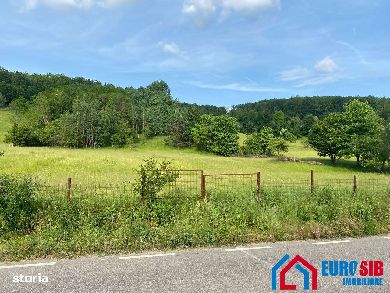 Teren cu acces din asfalt in Cotmeana jud Arges - Imagine principală: 4/4