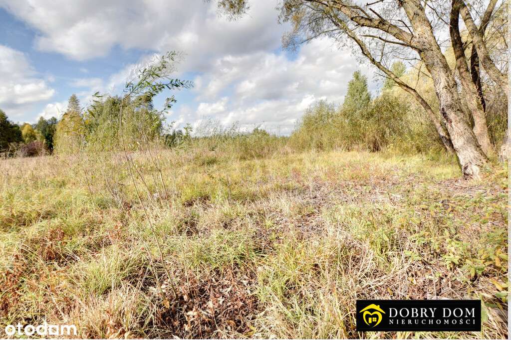**Działki Hryniewicze przy lesie** - Pełny obrazek: 5/13