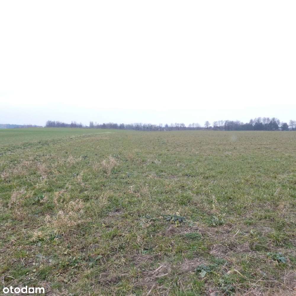 kompleks działek na zabudowę mieszkaniową-10