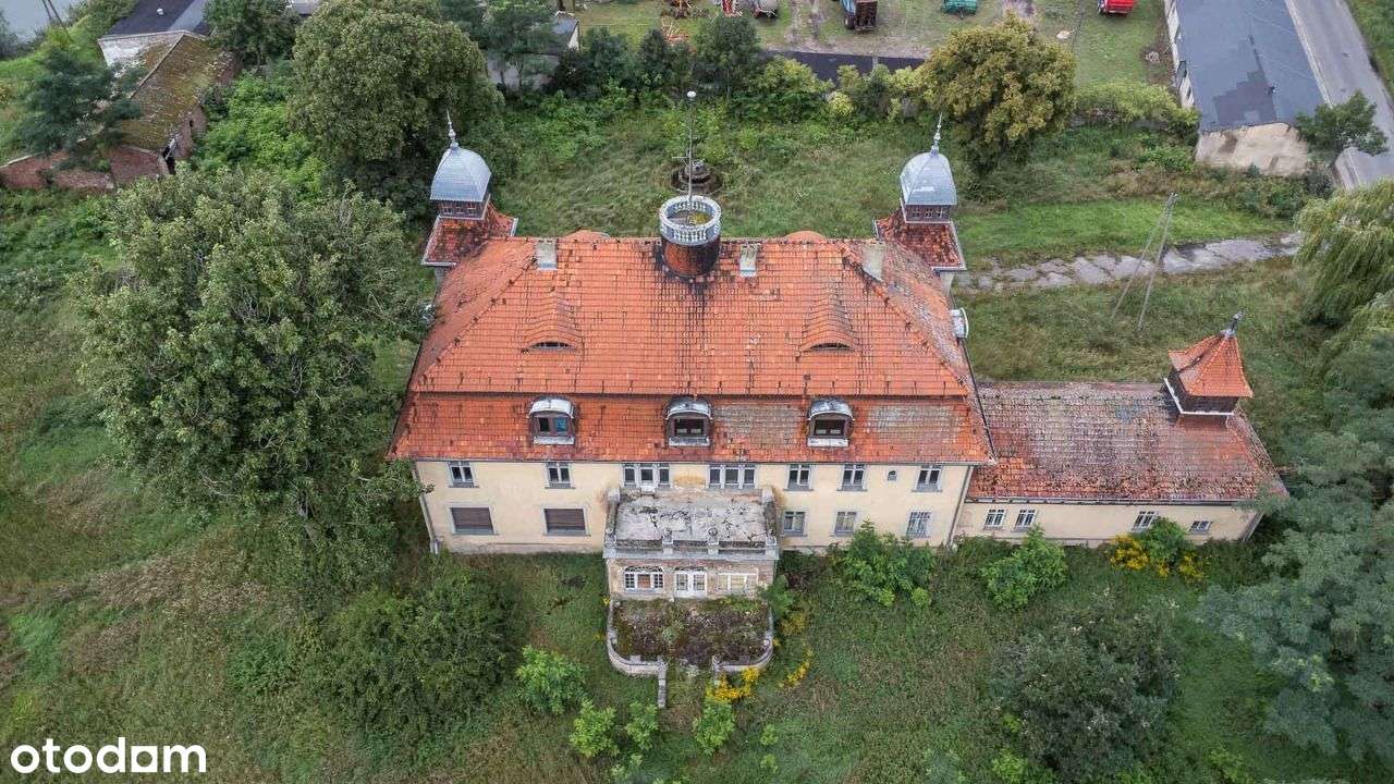 Zespół pałacowo - parkowy I Bez prowizji - Pełny obrazek: 4/12