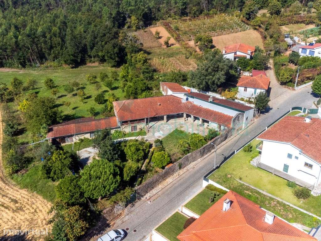 Magnífica Quinta T5 com 35.560m² a Apenas 10 Minutos do Centro de B... - Grande imagem: 1/60