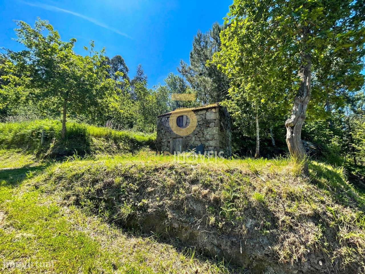 Terreno Rústico  Venda em Moimenta,Cinfães - Grande imagem: 4/16