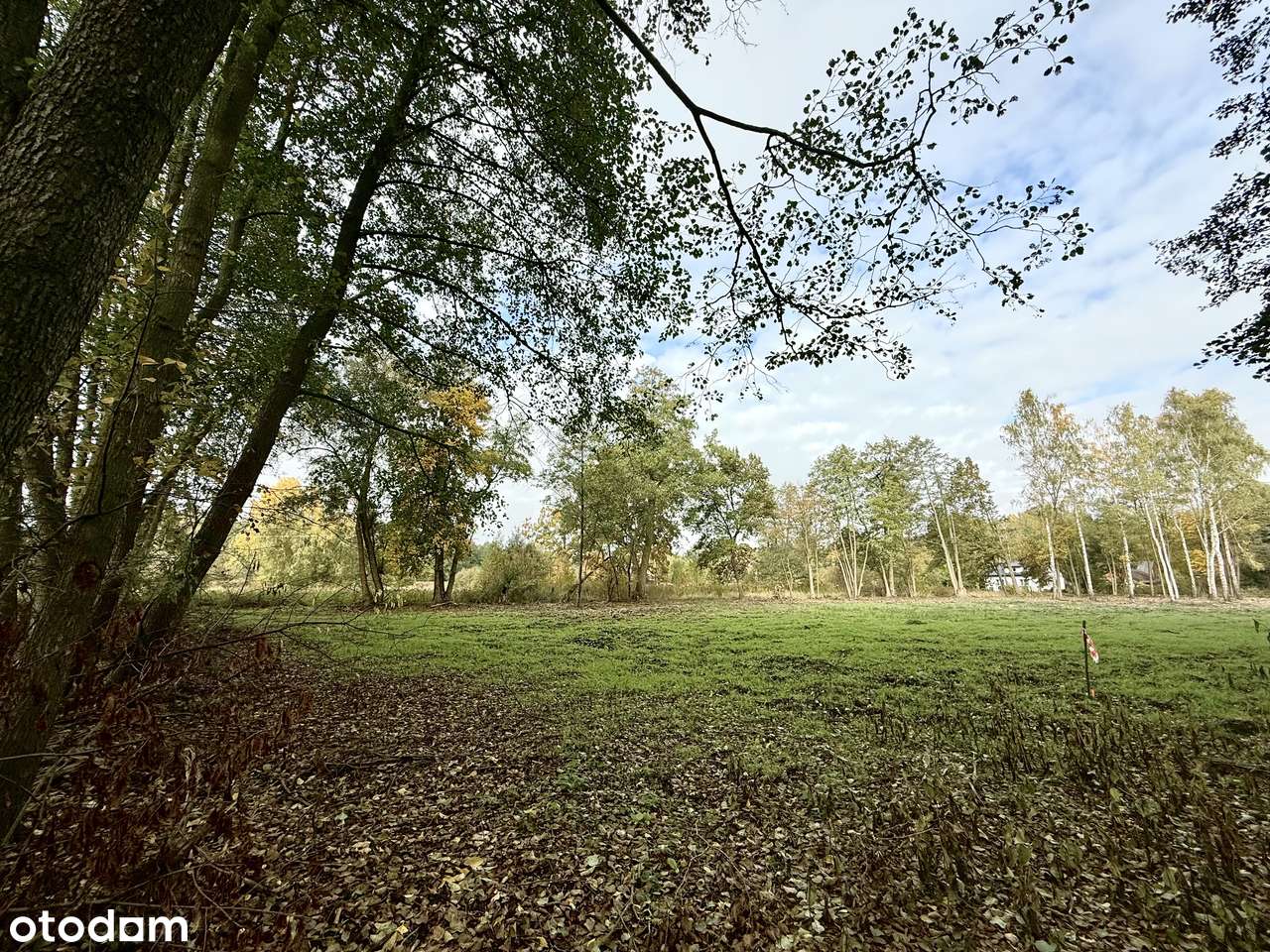 Adamów-wieś, 1500m2, bezpośrednio - Pełny obrazek: 5/6