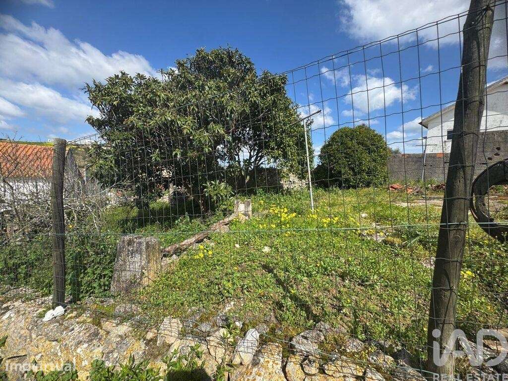 Casa de Campo em Aljubarrota de 46 m2 - Grande imagem: 5/16