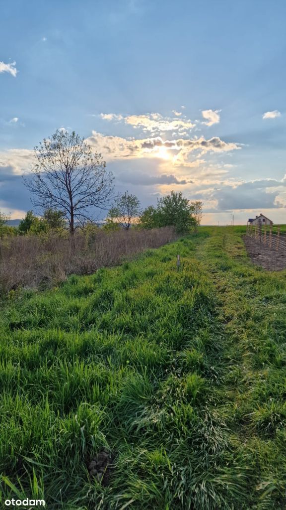 Tąpkowice, widokowe działki budowlane