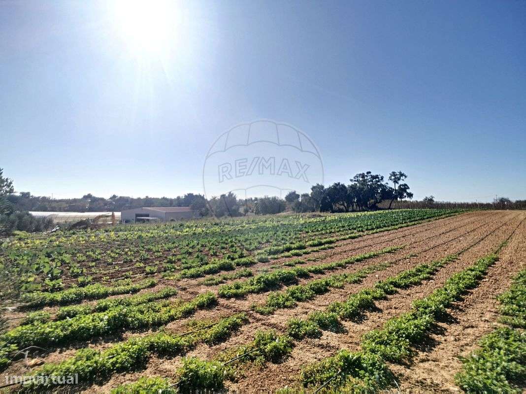 Quinta  para venda-31