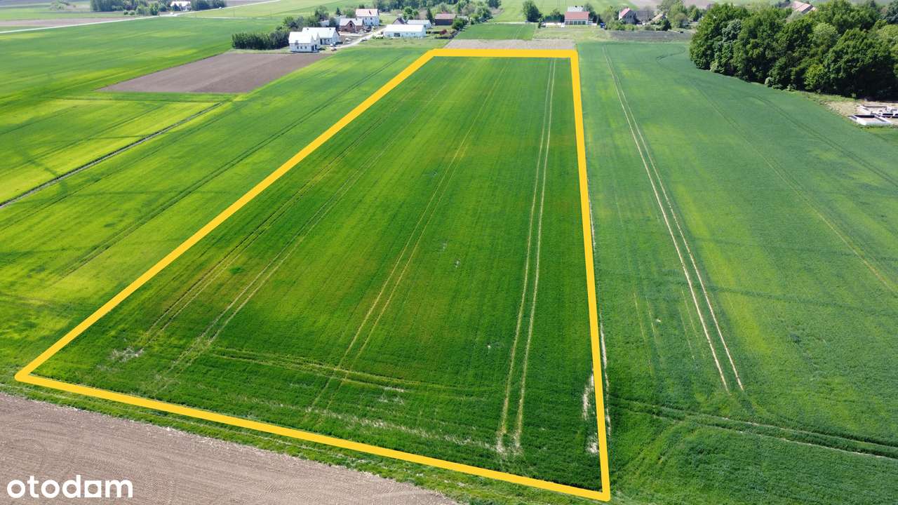 Malowniczy teren rolny  2,24 ha w pobliżu Wrocławia-2