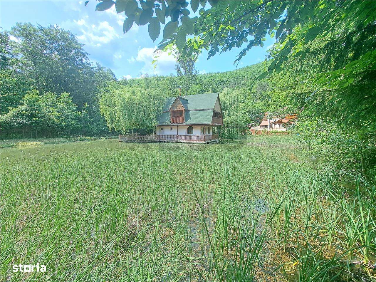 Cabana pe apa in Padurea Neagra - Imagine principală: 5/20