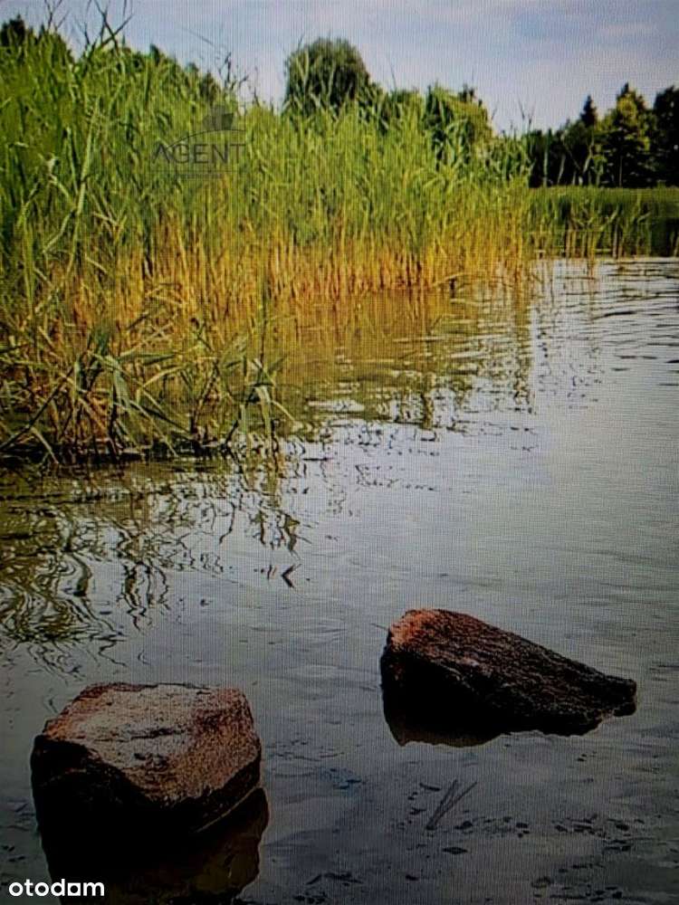 Działki/Nekla Jedna? lub komplet? - Pełny obrazek: 4/6