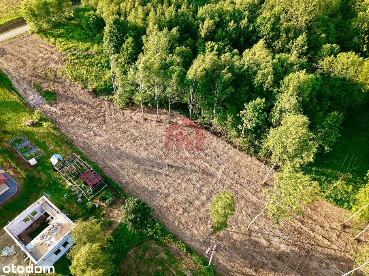 Magdalenka! Działka 20 ar, w lesie, ze strumykiem - Pełny obrazek: 5/15