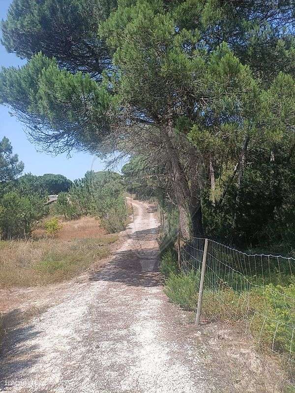 Terreno  para venda - Grande imagem: 3/5