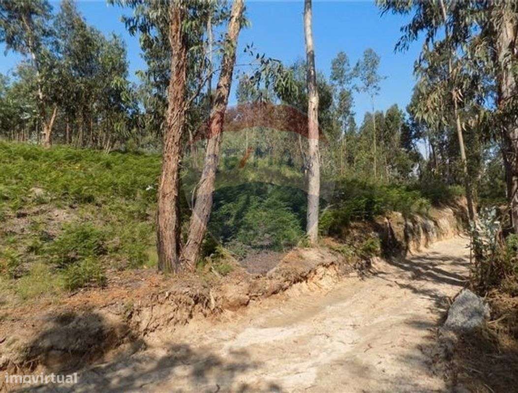 Terreno  para venda - Grande imagem: 3/3