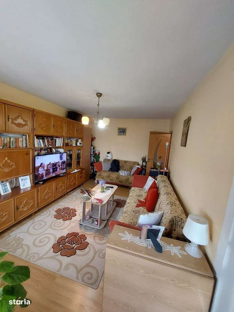 Vânzare apartament 2 camere - zona Malu Rosu (Simache)-13