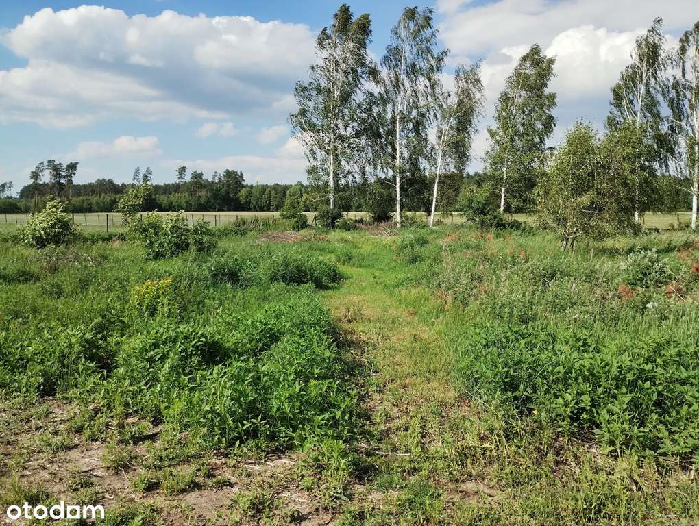 Sprzedam działkę pod budowę 45min od Warszawy-5